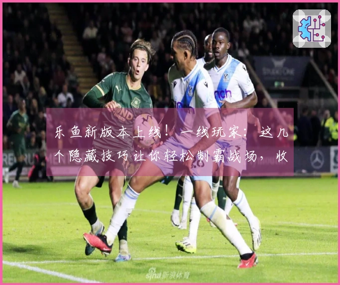 乐鱼新版本上线！一线玩家：这几个隐藏技巧让你轻松制霸战场，收益翻倍！